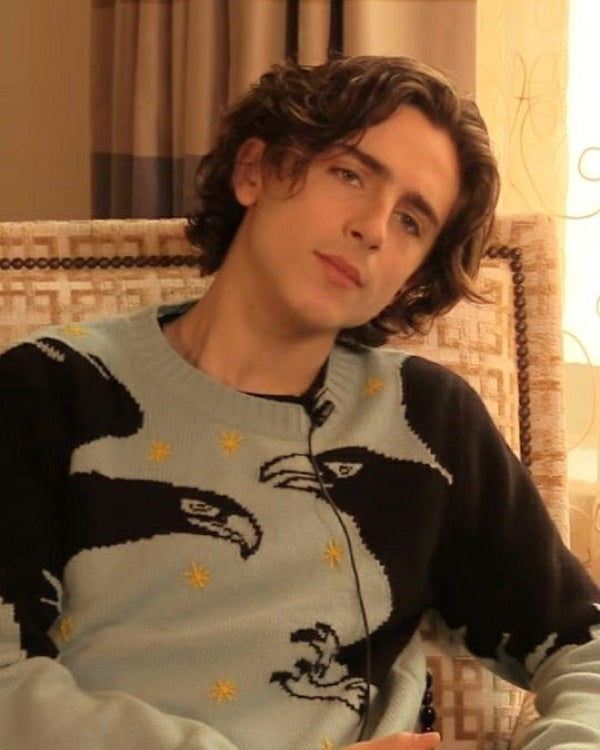 Timothée Chalamet Crow Blue And Black Sweater